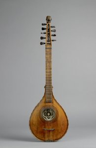 Cittern (fyr, ahorn, ahorn, sykomor)